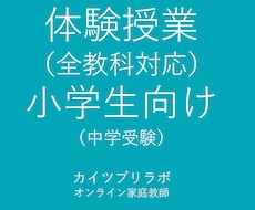 体験授業　小学生向け授業を行います イメージ1