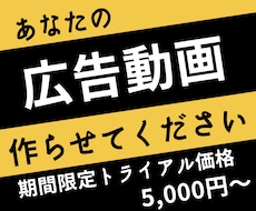 広告動画作成いたします 【動画制作にお悩みの方へ　ぜひお手伝いさせてください】