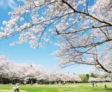 愚痴や悩み、相談事なんでものります イメージ1