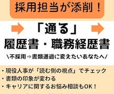 履歴書・職務経歴書を現役採用人事が添削します イメージ1