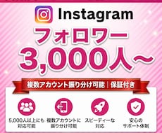 Instagramフォロワーを3000人増量します 広告でフォロワー獲得｜振り分け可｜減ったら再追加
