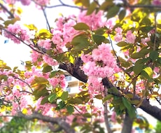 ひとりじゃないよ✩.*心のモヤモヤお話し聞きます イメージ1