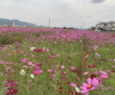お話し倶楽部はじめます イメージ1