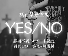 YESNO│詳細不要で答えと流れスピード鑑定します 今すぐ知りたいことを視て、進むべき方向を簡潔に示します