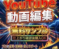 最後まで見られるYouTube動画を制作します イメージ1