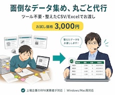 Webサイトのデータ収集・抽出を代行します イメージ1