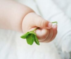 子育て応援！心理カウンセリングいたします イメージ1