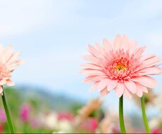 あなたのお話何でも聞きます イメージ1