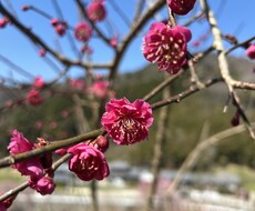 なんでもあなたのお話聞きます イメージ1