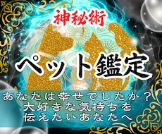 愛するペットの霊視鑑定｜丁寧にお伝えします イメージ1