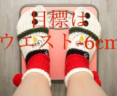 Xmas迄にウエスト-6cm！まだ間に合います 見返してやりましょう！諦めてたスタイルを手に入れる40日間