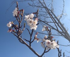 気になるコスメの成分解析します イメージ1