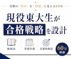 あなた専用の受験勉強ロードマップ一緒に作ります 東大現役合格×塾講師×家庭教師の経験で、丁寧にサポートします