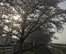 貴方の悩み事、特に精神科について、何でも聞きます イメージ1