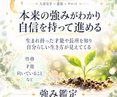 生まれ持ったあなたの才能、長所を鑑定します 親、兄弟、子となぜ関係が悪いのか？解決のヒントを得られます。
