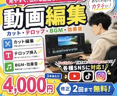 動画のカット編集・テロップ・BGM挿入しますます イメージ1
