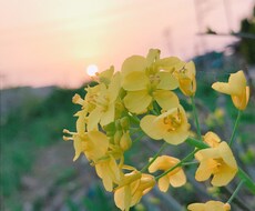 アナタのお話、何でも聴きます イメージ1