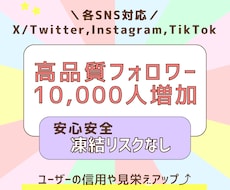 SNSのフォロワーを10,000人増加させます イメージ1