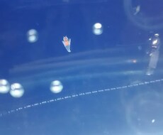 誰かに話を聞いてほしい人、何でも聞きます イメージ1