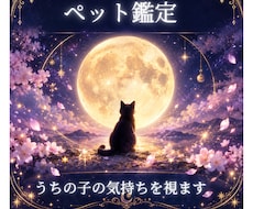 ペット鑑定　ペットの気持ちを読み解きます イメージ1