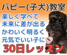 パピー教室【30日】★楽しく学べて未来に差が出ます イメージ1
