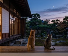 あの日の選択の答え合わせ。魂を霊視します イメージ1