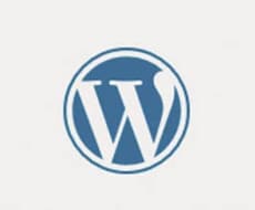 Wordpressの設置承ります あなたなら数時間かかることも私なら一瞬かもしれません。