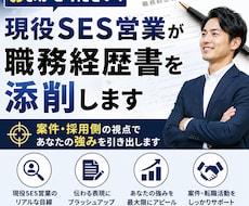 現役SES営業が職務経歴書を添削します イメージ1