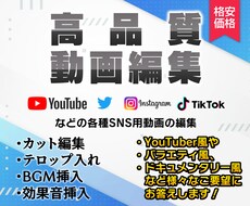 YouTubeなどの動画編集承ります テレビ風やYouTuber風など様々なジャンルに対応します