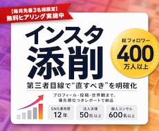 400万運用者が第三者目線でインスタを添削します 直す箇所を優先順位つきのレポートで納品します
