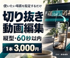 指定シーンを縦型の切り抜き動画に編集します イメージ1
