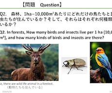海外進出向け『英語プレゼン』の構成を請け負います 脚本構造×生物学データで世界を動かす国際プレゼンプロデュース