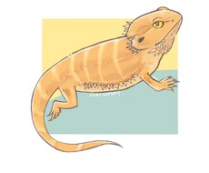 生き物の可愛いイラストを作成します