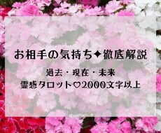 過去・現在・未来のお相手の気持ちを読み解きます 2000文字以上でお届け♡恋愛・仕事・人間関係オールOK