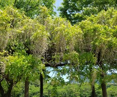 何でもできる限り相談のります イメージ1