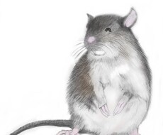 2020年年賀状子のイラストあります イメージ1