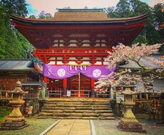 縁のある神社、場所をお伝えします パワースポットへ行きたいけれど迷ってしまってる方