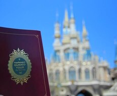 ディズニーリゾートの巡り方をお伝えします イメージ1