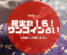 限定１！猫が片思いのあなたに寄り添います 神秘的なオッドアイのスフィンクスのタロット占い