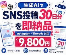 SNS投稿30日分を即納品します イメージ1