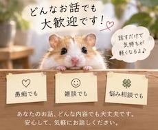 星屑の書斎で、ゆっくりお話しします イメージ1