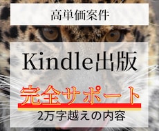 高単価！Kindle出版サポート全ノウハウ教えます 一撃20万円超えのロードマップ！不明な点はサポート致します
