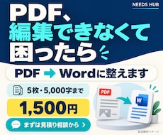 PDFの文字起こし・Word変換を承ります イメージ1