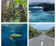 八丈島の写真提供します イメージ1