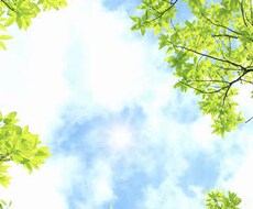 考え方や捉え方をポジティブに変えます イメージ1