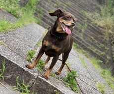 誰にも言えない悩み、相談を聞きます イメージ1