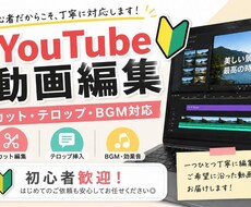 YouTube動画を丁寧に編集します イメージ1