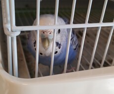 現役高校生があなたの愚痴や悩み、何でも優しくます イメージ1