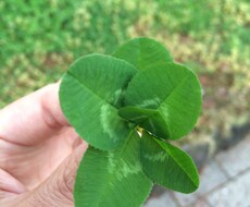 あなたが必要とするメッセージを伝えます イメージ1