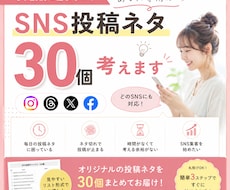 SNS投稿ネタ30個、あなた専用のネタを考えます イメージ1